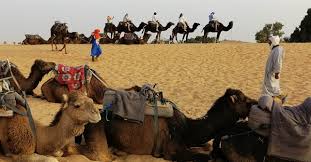 B camel ridinq in morocco see all of southern morocco on a camell take your time and enjoy a relaxing journey from marrakech with historic sites across the desert to the dades gorge. Grand Tour To Morocco From Marrakech To Algeciras Spain