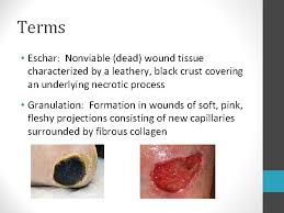 Dark patches of dead skin on the wound surface can be alarming to an individual who is recuperating from a burn wound or a diabetic ulcer, but this tissue, also known as eschar, is a normal part of the healing process. Basics Of Pressure Ulcer Prevention And Wound Care