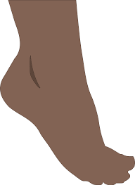 Leg Clipart Big Foot Leg Big Foot Transparent Free For Download On Webstockreview 2021 Mumble penguin happy feet foot animation, happy feet, penguin png clipart. leg clipart big foot leg big foot