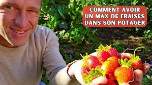 Les fraises à rainer extensibles (TUTO)