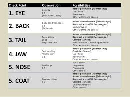 The Five Point Check