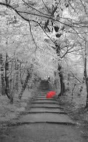 Black And White Pictures With Red Umbrella Red Umbrella Red Umbrella Red Photography Umbrella