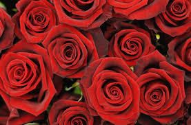Approximately 90 million cards are sent each year. Valentine S Day By The Numbers Cnn