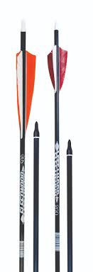 Fleetwood Carbon Arrows