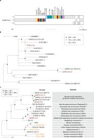 The Species Severe Acute Respiratory Syndrome Related Coronavirus Classifying 2019 Ncov And Naming It Sars Cov 2 Abstract Europe Pmc