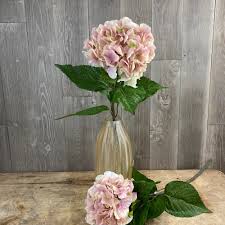 Check spelling or type a new query. Stemmed Flowers Vintage Pink Hydrangea The Outdoor Look
