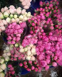 Maybe you would like to learn more about one of these? Import Flowers Home Facebook