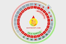 Aplicatia timezen este menita sa raspunda la toate aceste intrebari. Cate Zile Pe Luna Poti Ramane Insarcinata Si Care Sunt Acelea Desprecopii Com