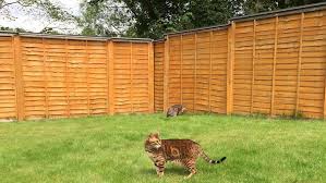 18,980 likes · 6 talking about this. Revolutionary Cat Proof Fence Rollers Oscillot Official Site