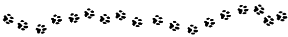 Image result for paw prints clip art