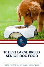Do You Wonder What To Feed Your Large Breed Senior Dog And Get The Nutrition He Needs Click Here To Dis Large Dog Breeds Best Senior Dog Food Dog Food Recipes