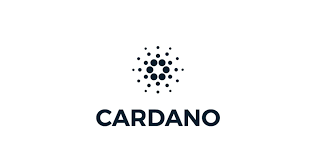 Cardano is a proof of stake blockchain allowing through science by leading team of engineers, the safe, transparent, sustainable foundation for individuals to transact and exchange, systems to govern, and enterprises to grow. Trrrodfbvccohm
