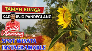 Varian bunga sendiri banyak banget. Taman Bunga Kampung Jambu Objek Wisata Instagramable Wisata Pandeglang Youtube