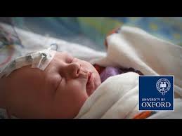 Pin On Circumcision Info
