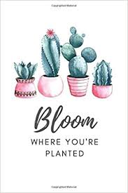 Give me a piece of advice on what architectural monuments are worth visiting in belarus. Bloom Where You Re Planted Cactus Notebook Succulent Lover Gift Cacti Themed Journal Publishing Clementine Tree 9798643600992 Amazon Com Books