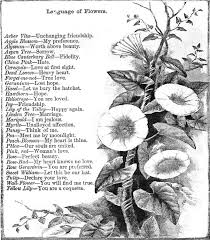 These flowers are best for a birthday or anniversary, or for a new relationship that is not quite as serious yet. Language Of Flowers From The Mystery Of Love Courtship And Marriage Explained By Henry J Wehman 1890 Language Of Flowers Flowers Flower Meanings