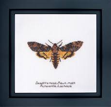 Her designs and kits are sold throughout the world. Amazon Com Thea Gouverneur Counted Cross Stitch Kit Embroidery Kit 563a Pre Sorted Dmc Threads Death S Head Hawk Moth Aida 8 3 X 8 3inch Diy Kit