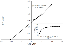 Double Reciprocal Lineweaver–Burk Plot Of Substrate Dependent Enzyme... |  Download Scientific Diagram