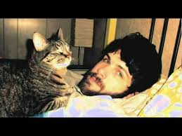 Beginners A Mike Mills Film Clip This Is Love Cats Men With Cats Cat Site Love affair, or the case of the missing switchboard operator. pinterest