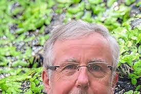 Liberale freuen sich über drittes Ratsmandat