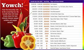 pepper scoville chart the scoville scale of hotness