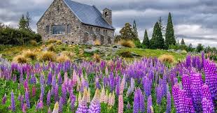 10 fiordland national park, new zealand. 5 Tempat Menarik Bercuti Di New Zealand Picisan Hakim Ramli