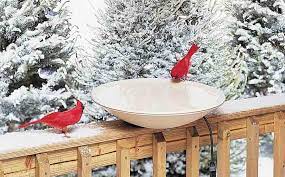 Features thermostatically controlled heater to conserve energy. Top 10 Best Heated Bird Bath Of 2021 Review By Seabirdsanctuary