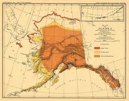 Black Bear Population By State Pin By Amada Mota On Apuntes In 2020 Sign Art Alaska Map Art