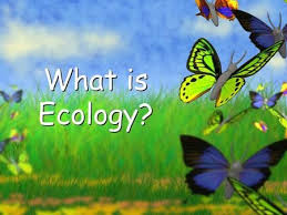 Biotic And Abiotic Factors In An Ecosystem Slideshare 1 What Is Ecology 2 Ecology Study Of Interactions Between Organisms And Their Environment Abiotic Factors Non Living Par Ecology Simile Poems Learn Biology