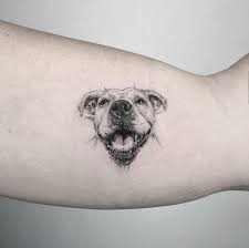 Artist Ricky Williams Southcitymarket Micro Realism Tattoo Dog Portrait Tattoo Dog Tattoos