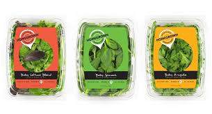 Hg Packaging Vegetable Packaging Salad Packaging Food Packaging Design