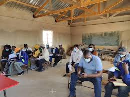 Image result for Fuirena pachyrrhiza