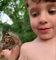 Ottawa County Conservation District