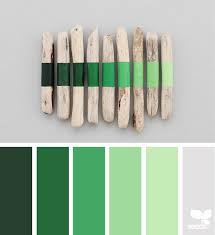 Kelly green is an intense, pure green that between blue and yellow in the color wheel. A Color Story Kelly Green