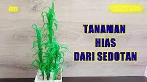 Jika sobat seorang pecinta ikan hias, pastinya sudah tidak diragukan lagi untuk mencari tahu bagaimana cara desain. Cara Membuat Hiasan Dari Bahan Sedotan Yang Mudah Trik Idetrik Youtube