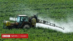 Studies by independent scientists show that at the levels commonly found in the environment, on our food and in our bodies—levels that are lower than those allowed by regulatory agencies on our food—glyphosate causes a wide range of diseases and birth defects. Que Es El Glifosato La Sustancia Presente En Los Herbicidas Mas Usados Del Mundo Por La Cual Monsanto Fue Demandada Bbc News Mundo