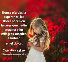 Nunca pierdas la esperanza, las flores... - Paz y amor al mundo ...