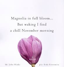 Naviar Haiku — naviarhaiku360