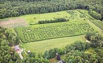 Corn-Maze Adventure - Schartner Farms | Groupon