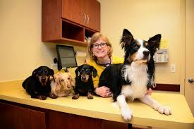 Client care coordinator in chicago, il. Family Pet Animal Hospital Chicago 1 773 935 2311