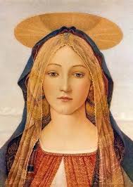 Petrea Canaan (@canaan_petrea)