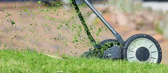 Best Manual Push Reel Lawn Mowers Reviews Guide Lawn