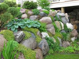 Idea Cora Bell As Border At The Bottom Then Creeping Jenny Sedum And Hostas Any Other Grou Rock Wall Gardens Rock Garden Landscaping Landscaping With Rocks