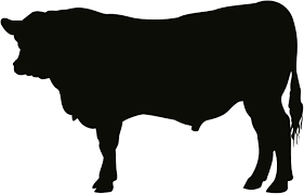 Image Result For Angus Cow Silhouette Beef Cow Cow Art Animal Silhouette