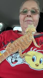 Hello to Tater Tot, the adopted pet