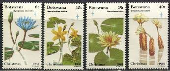 Image result for Ottelia kunenensis