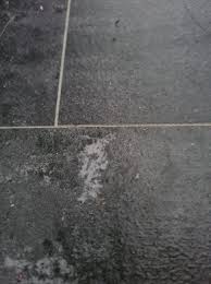 Profile for Marc Holst