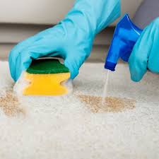 It will smell slightly of vinegar until the carpet is dry. How To Clean Carpet With Baking Soda Jul 2021 Outlinist