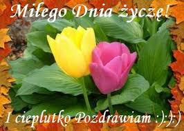 Znalezione obrazy dla zapytania rozne zyczenia