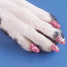 pretty paws via gooddayhairshop dog nails dog nail art nail caps